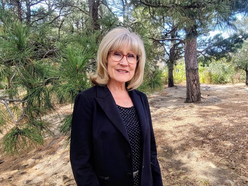Cathleen Campaigne Colorado Springs Therapist